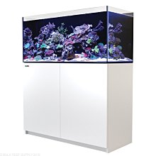 【魚店亂亂賣】Red Sea紅海REEFER 350海水超白玻璃套缸120X50X53cm(白色)提問享折扣碼