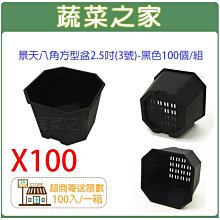 【蔬菜之家滿額免運】景天八角方型盆2.5吋(3號)-黑色100個/組