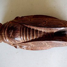 【 金王記拍寶網 】(常5) A004 中國近代木雕工藝小品擺件 沉木吉詳蟬 把玩件 一件 罕見 稀少