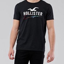 HCO Hollister 海鷗 短袖 T恤 現貨 貼布刺繡logo 黑色