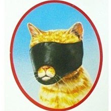 【🐱🐶培菓寵物48H出貨🐰🐹】貓咪專用口罩(S/M/L)三尺寸  特價170元