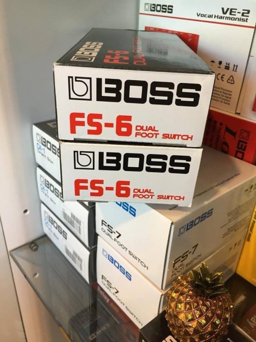 【六絃樂器】全新 Boss FS-6 雙功能開關踏板 適用鍵盤 節奏機 吉他音箱 / 現貨特價