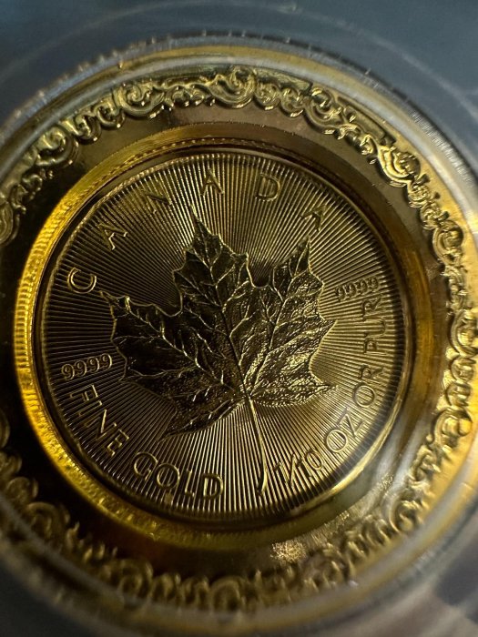 加拿大楓葉金幣1/10盎司 3.11g，普通保護盒子，品相完