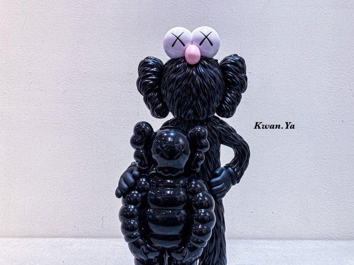 kaws family companion bff ddtstore bearbrick holiday 村上隆 小泉悟