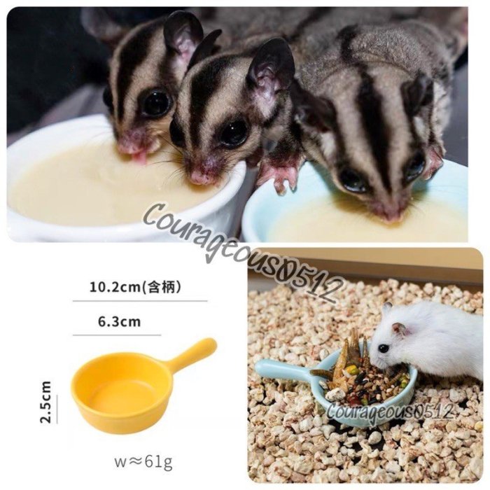 皮鹿鹿124 防翻倒食盆 小寵 陶瓷食盆 飼料盒 防傾倒 蜜袋鼯 倉鼠 天竺鼠 兔子 刺蝟 鸚鵡 黃金鼠 松鼠 龍貓