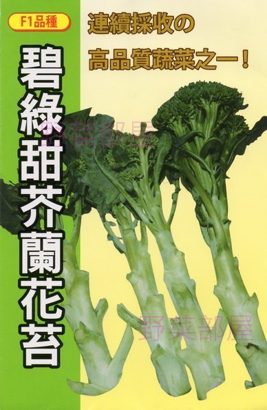 【野菜部屋~】H15 碧綠甜芥蘭花苔種子15公克(約3450顆種子) , 甜度 , 品質 , 口感 , 產量都極佳 ~