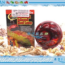 【魚店亂亂賣】美國ZOO MED夜間紅外線熱燈泡100W(E27燈頭)加溫燈.保暖設備RS-100