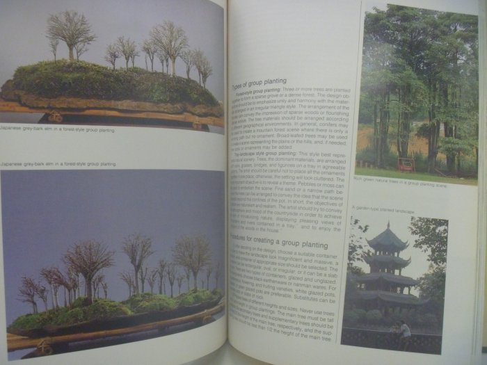 【月界】The Art of Bonsai(絕版)_Professor Amy Liang_梁悅美盆栽藝術〖園藝〗AJS