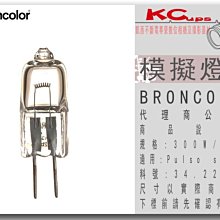 凱西影視器材【BRONCOLOR 模擬燈泡 300W / 220V 公司貨】34.223.XX