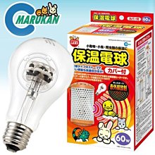 【🐱🐶培菓寵物48H出貨🐰🐹】Marukan》小動物專用HD-60保溫電球燈泡60W 特價549元
