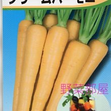 【野菜部屋~】I27 日本奶油胡蘿蔔種子 35 粒 , 相當特別的品種 , 每包15元 ~