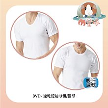 M星球 【BVD】速乾U領/圓領短袖  三種尺寸可挑選 吸濕排汗 BVD內衣