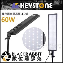 數位黑膠兔【 KEYSTONE 60W 雙色溫 高顯LED燈 】 攝影燈 補光燈 人像 彩妝 新秘 美髮 美甲 持續燈