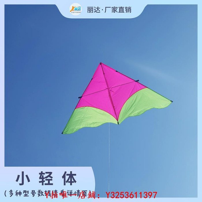 風箏2024新款小輕體風箏傘布碳素桿三角風箏兒童成人微風好飛濰坊風箏戶外
