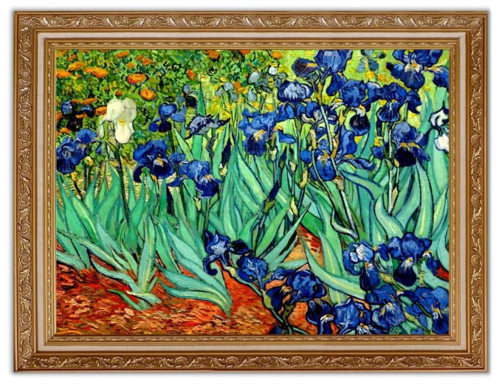 四方名畫:48X65CM 文森.梵谷Van gogh 128紫色鳶尾花含實木框/厚無框畫 