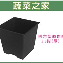 【蔬菜之家滿額免運】四方型栽培盆5.5吋-黑色(厚)※此商品運費請選宅配※