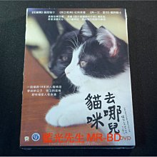 [DVD] - 為什麼貓都叫不來 ( 貓咪去哪兒 ) Neko Nanka Yondemo Konai