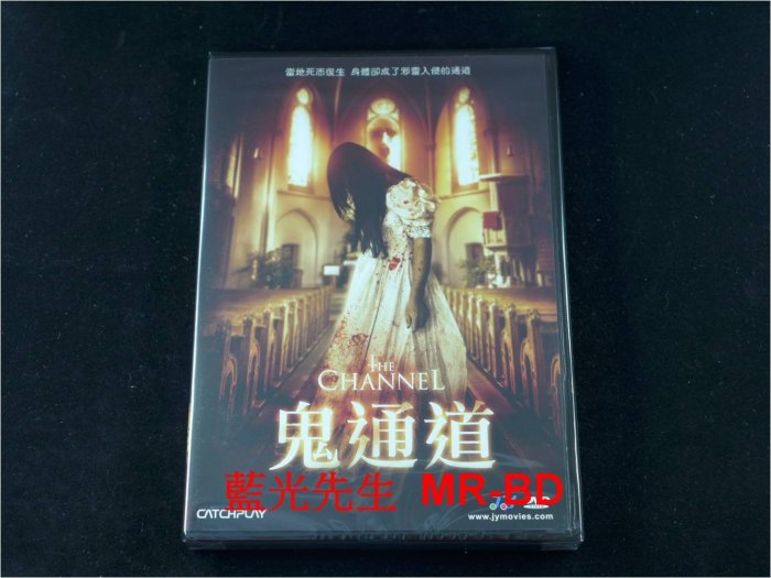 [DVD] - 鬼通道 The Channel ( 威望公司貨 )