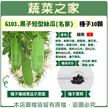 【蔬菜之家滿額免運】G103.黑子短型絲瓜(名家)種子10顆//耐熱、耐寒力強，節間短，雌花早，花數多結果力好，早、豐產