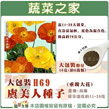 【蔬菜之家滿額免運】大包裝H69.虞美人種子10克(約6萬顆)(重瓣大花)※不適用郵寄掛號配送※