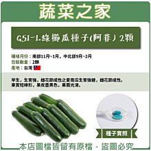 【蔬菜之家滿額免運】G51-1.綠櫛瓜種子(阿菲)2顆  (早生，生育強，果實短棒形，果皮墨黑色，果面光滑)