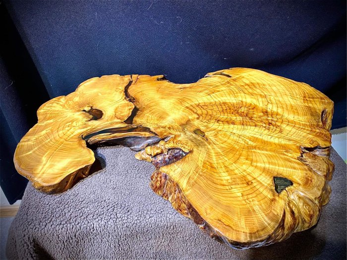 台灣檜木瘤板 雕刻 聚寶盆 樹瘤鳳尾