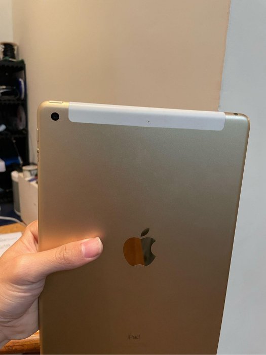 iPad A1823看起來被拆過 沒電池 螢幕目測沒破 零件機 便宜賣
