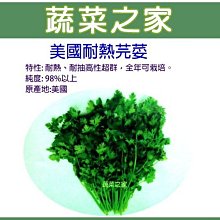 【蔬菜之家滿額免運00F12】大包裝.美國芫荽(美國進口耐熱品種香菜) 種子200克※此商品運費請選宅配貨運※