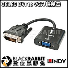 數位黑膠兔【 LINDY 林帝 38189 DVI to VGA 轉接器 】