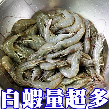 ㊣盅龐水產◇生白蝦60/70(950g)(Gold金牌) ◇重量950g±5%/盒(約包冰20%)◇零$ 290元/盒◇  歡迎零售團購批發