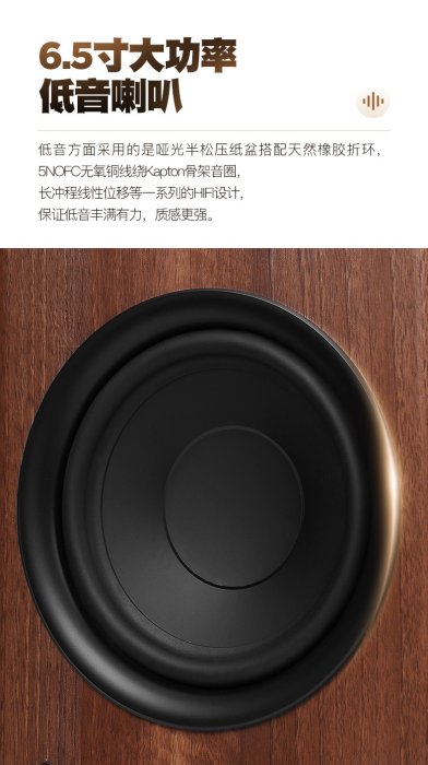 大禾音響 BAIKAL RS-603 三音路Hi-Fi書架喇叭、造型喇叭