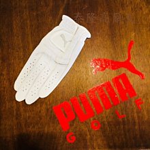 全新 PUMA Golf 女士專業高爾夫手套 小羊皮手套 絕佳防滑 舒適透氣