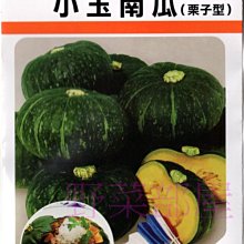 【野菜部屋~】K52 小玉南瓜種子2粒 , 果肉細緻 , 甜度高 , 每包15元 ~