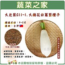 【蔬菜之家滿額免運00C11-1】大包裝.大梅花白蘿蔔種子90克※不適用郵寄掛號配送※請選擇超商或宅配運送※