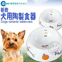 【🐱🐶培菓寵物48H出貨🐰🐹】日本品牌MARUKAN》DP-812 新款犬用陶製食器S 特價188元