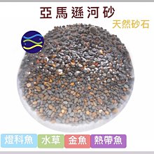 微笑的魚水族☆【亞馬遜河沙/亞馬遜河砂1kg】水草.燈科魚.金魚.熱帶魚 ~ 非常適合