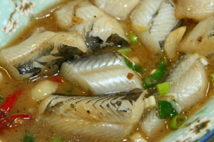 那個魚(小鰭鐮齒魚)