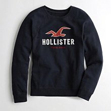 Hollister HCO 海鷗 車繡LOGO 大學T 現貨 藍色 限量城市款