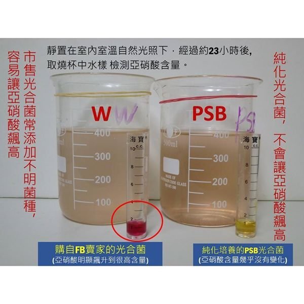 PSBLab] 水族光合菌600cc, PSB光合成菌, 光合紅菌, 光合細菌, 不須使用