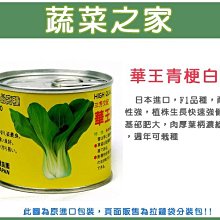 【蔬菜之家滿額免運00A66】大包裝.華王青梗白菜種子40克(日本進口.蔬菜種子)※此商品運費請選宅配※