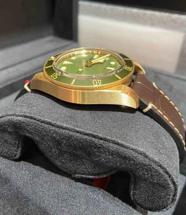 TUDOR 帝舵 79018V 全金綠面