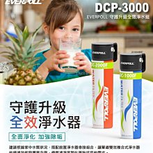 【年盈】EVERPOLL  DCP-3000全面淨化加強除垢 守護升級全效淨水組(DC1000+DC2000)