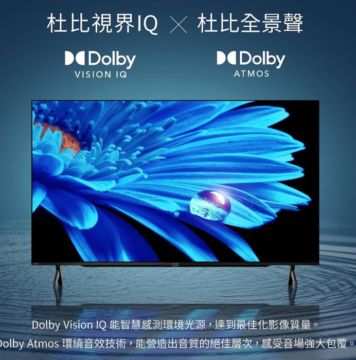 (輸碼93折)SHARP 夏普 75吋 GOOGLE TV 4K聯網液晶電視 4T-C75FK1X 聊聊更優惠