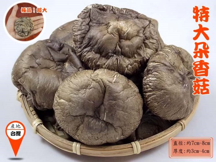 -特大朵台灣冬菇/特大朵台灣香菇- 埔里產地直送，精挑細選，真的又大又漂亮，肉厚味香，口感扎實，送禮自用兩相宜。
