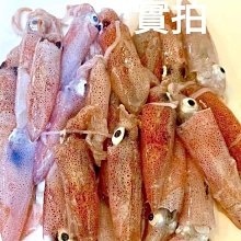 商品縮圖-1