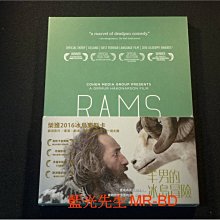 [DVD] - 羊男的冰島冒險 Rams ( 得利公司貨 )