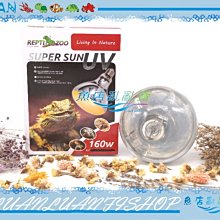 【魚店亂亂賣】REPTI ZOO兩棲爬蟲UVA+UVB全光譜太陽燈160W加熱燈泡/曬背燈.取暖燈