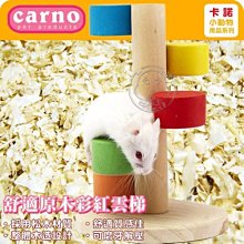 【🐱🐶培菓寵物48H出貨🐰🐹】Carno 卡諾《倉鼠舒適原木彩紅雲梯》多層設計玩法更多樣 特價139元