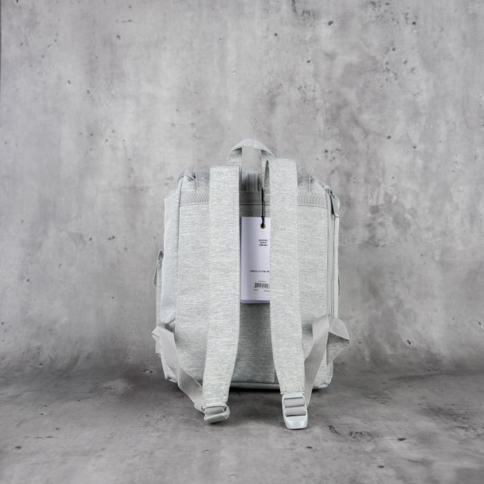 Herschel Dawson small 小型 後背包 Light Grey