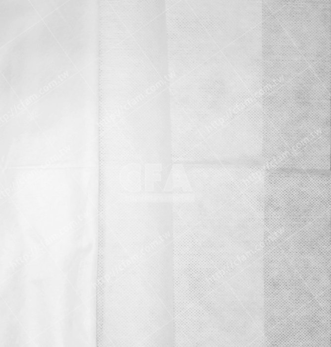 拋棄式紙浴巾 60 x100 cm/單張 乾濕紙巾不織布水針布紙巾紙毛巾野餐巾防塵巾防塵墊中醫推拿巾美容巾實驗室農藝園藝